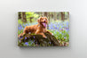 Tablou Canvas - Caine in parcul cu flori purpurii