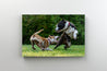 Tablou Canvas - Doi caini care se joaca in parc pe iarba