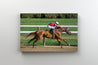 Tablou Canvas - Cal Alergand in Competitie