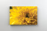 Tablou Canvas - Floare Galbena