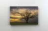 Tablou Canvas - Apus de Toamna