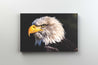Tablou Canvas - Vultur Alb