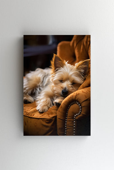 Tablou Canvas - Cainele adormit pe canapeaua de catifea
