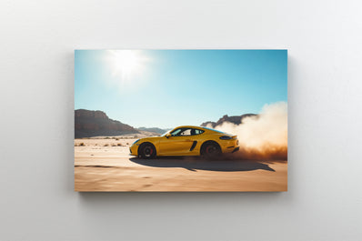 Tablou Canvas - Cursa in desert