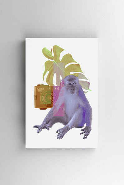 Tablou Canvas - Maimuta mov cu aparat foto