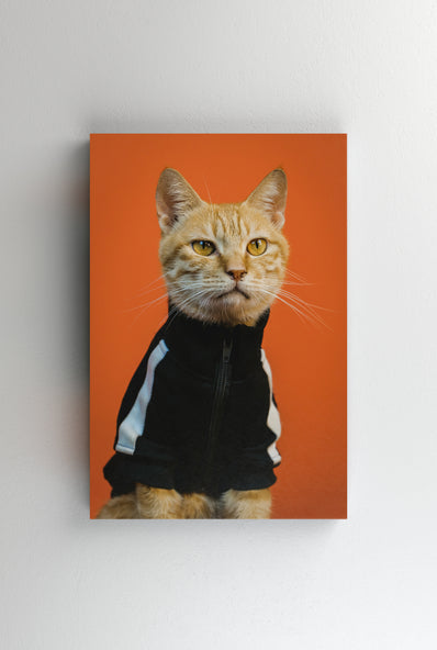 Tablou Canvas - Pisica face sport