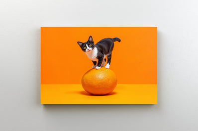 Tablou Canvas - Pisicuta face echilibristica pe o portocala