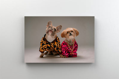 Tablou Canvas - Portret a doi caini imbracati luxos