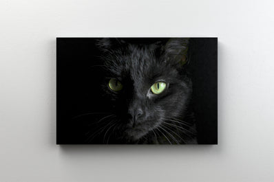 Tablou Canvas - Portret de pisica neagra cu ochi verzi