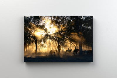 Tablou Canvas - Cai in Lumina Aurie al Apusului