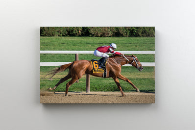 Tablou Canvas - Cal Alergand in Competitie