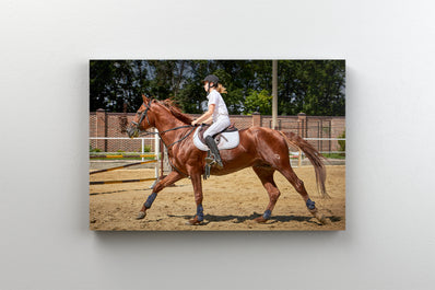 Tablou Canvas - Calareata pe Cal la Antrenament