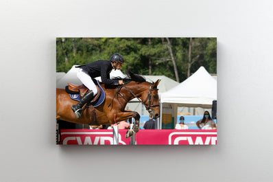 Tablou Canvas - Calaret Sarind peste Obstacol