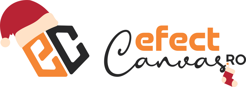 EFECT-CANVAS.RO
