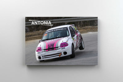 Tablou Canvas - Antonia Oupsie