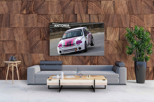 Tablou Canvas - Antonia Oupsie