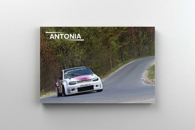 Tablou Canvas - Antonia Ready