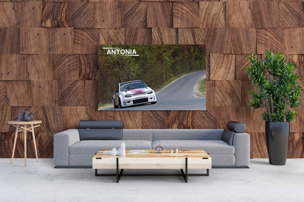 Tablou Canvas - Antonia Ready