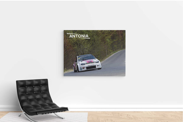 Tablou Canvas - Antonia Ready