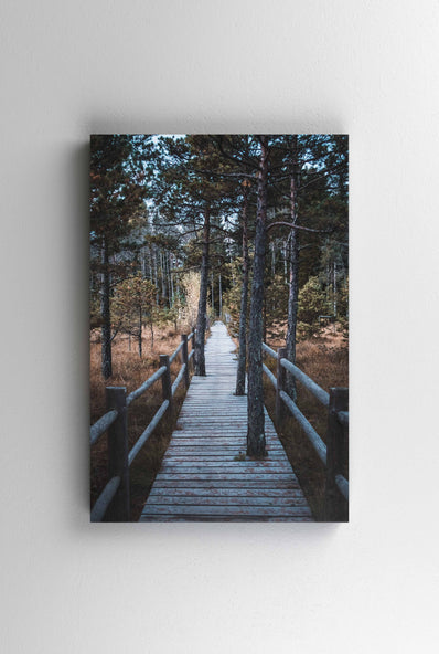 Tablou Canvas - Among the trees