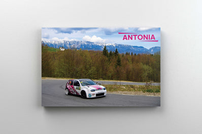 Tablou Canvas - Antonia and The Mountains