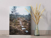 Tablou Canvas - Tinovul Mohos