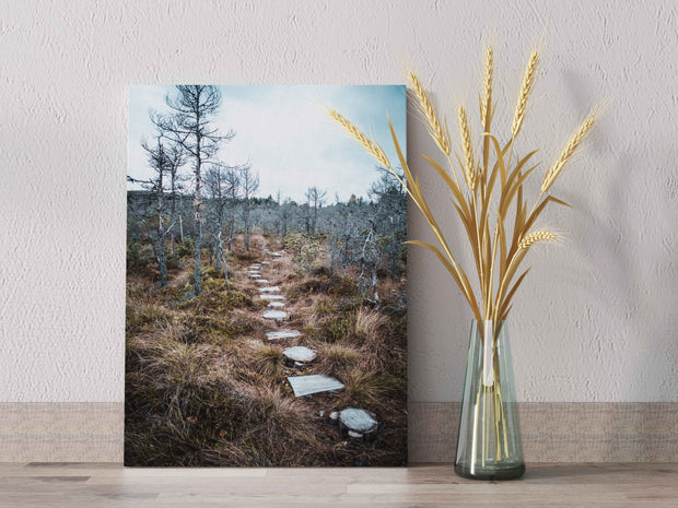 Tablou Canvas - Tinovul Mohos