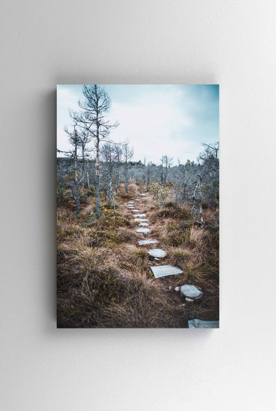 Tablou Canvas - Tinovul Mohos