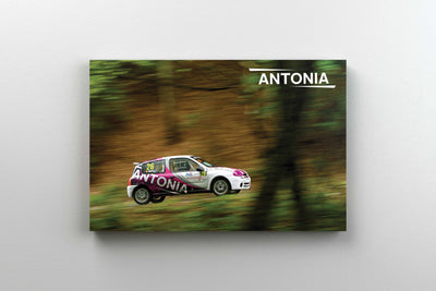 Tablou Canvas - Antonia Hillclimb
