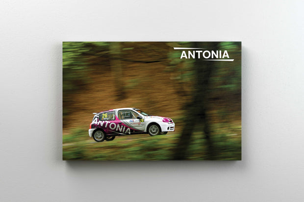 Tablou Canvas - Antonia Hillclimb