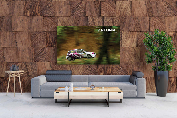 Tablou Canvas - Antonia Hillclimb