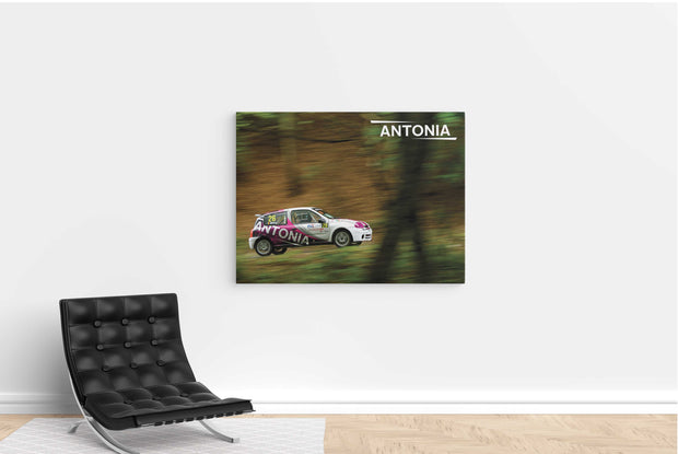 Tablou Canvas - Antonia Hillclimb