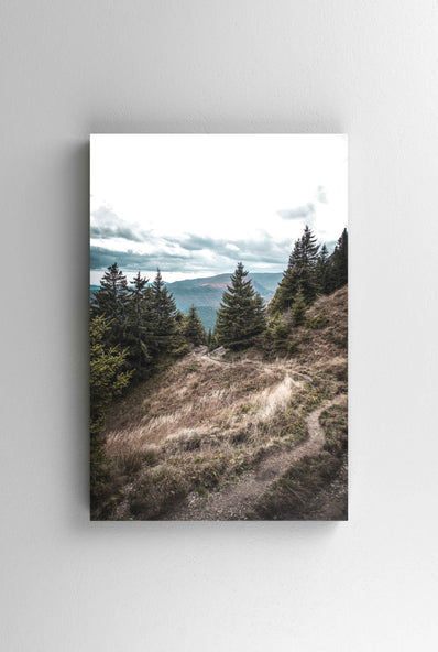 Tablou Canvas - On the path