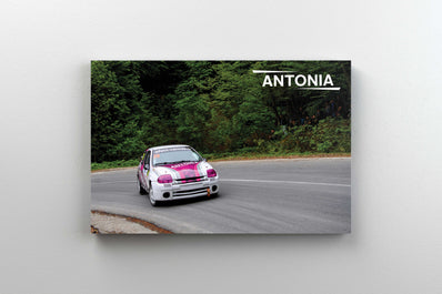 Tablou Canvas - Antonia To The Top