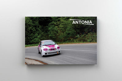 Tablou Canvas - Antonia To The Top