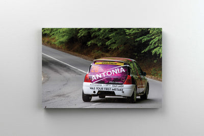 Tablou Canvas - Antonia Deceptive
