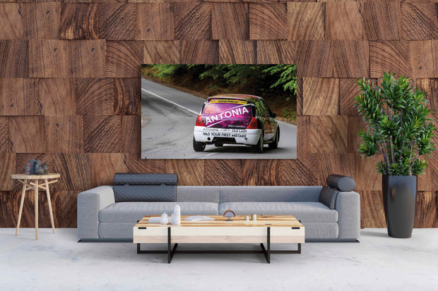 Tablou Canvas - Antonia Deceptive
