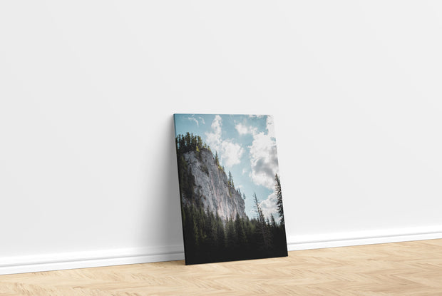 Tablou Canvas - On the mountain