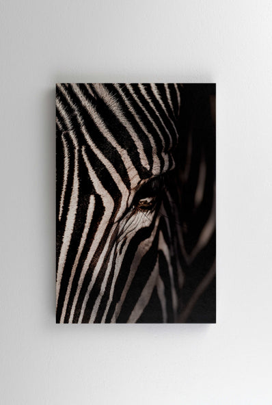 Tablou Canvas - Abstract Zebra
