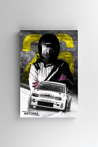 Tablou Canvas - Antonia Driver