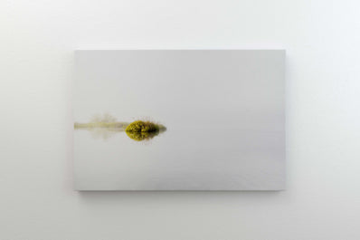 Tablou Canvas - Serendipity