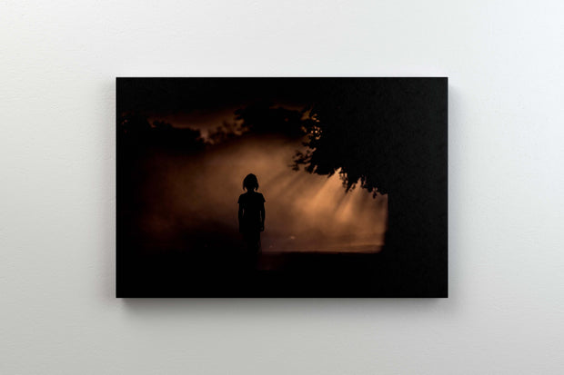 Tablou Canvas - I'm Comming Home