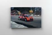 Tablou Canvas - Tess Rally Brasov