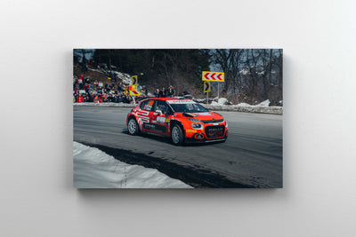 Tablou Canvas - Tess Rally Brasov