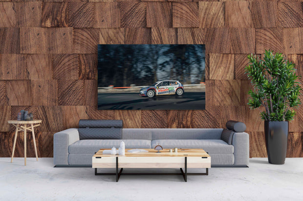 Tablou Canvas - Tess Rally Brasov 5