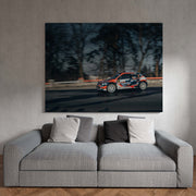 Tablou Canvas - Tess Rally Brasov 2