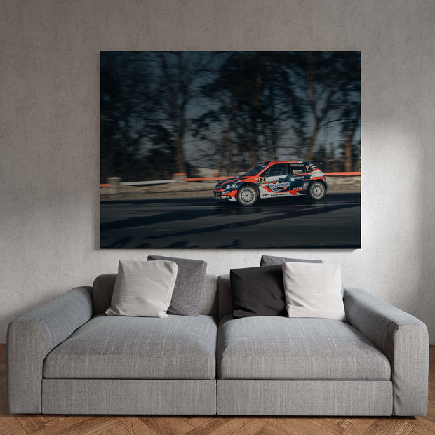 Tablou Canvas - Tess Rally Brasov 2