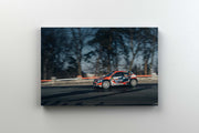 Tablou Canvas - Tess Rally Brasov 2