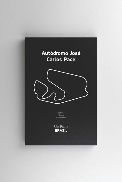 Tablou Canvas - Autodromo Jose Carlos Pace