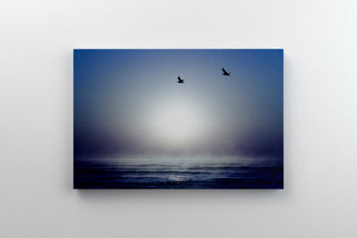 Tablou Canvas - Freedom